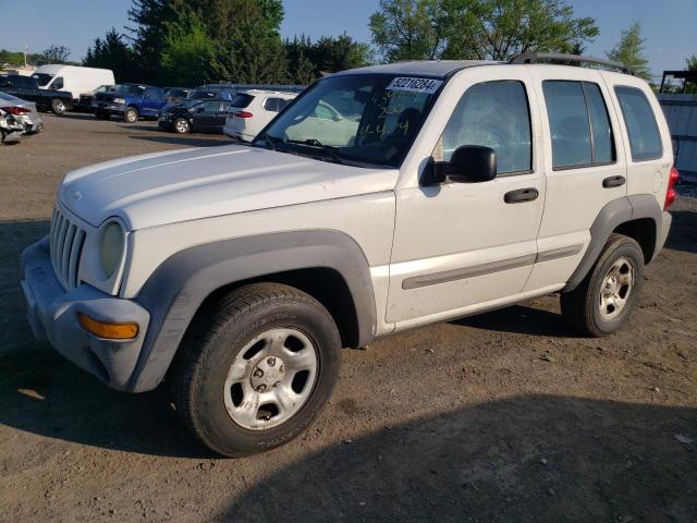 JEEP LIBERTY 2002 1j4gl48k02w175197