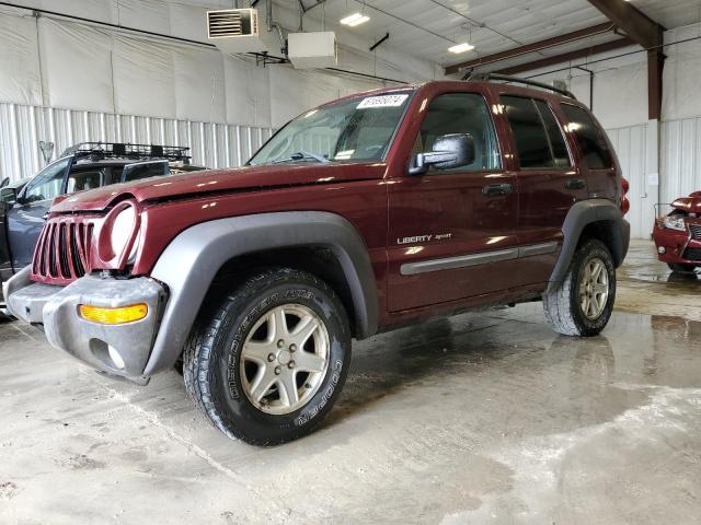 JEEP LIBERTY 2003 1j4gl48k03w509407