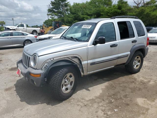 JEEP LIBERTY 2003 1j4gl48k03w654317