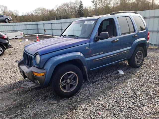 JEEP LIBERTY 2004 1j4gl48k04w176790