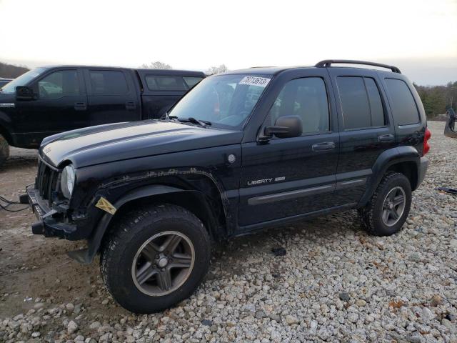 JEEP LIBERTY 2004 1j4gl48k04w195713