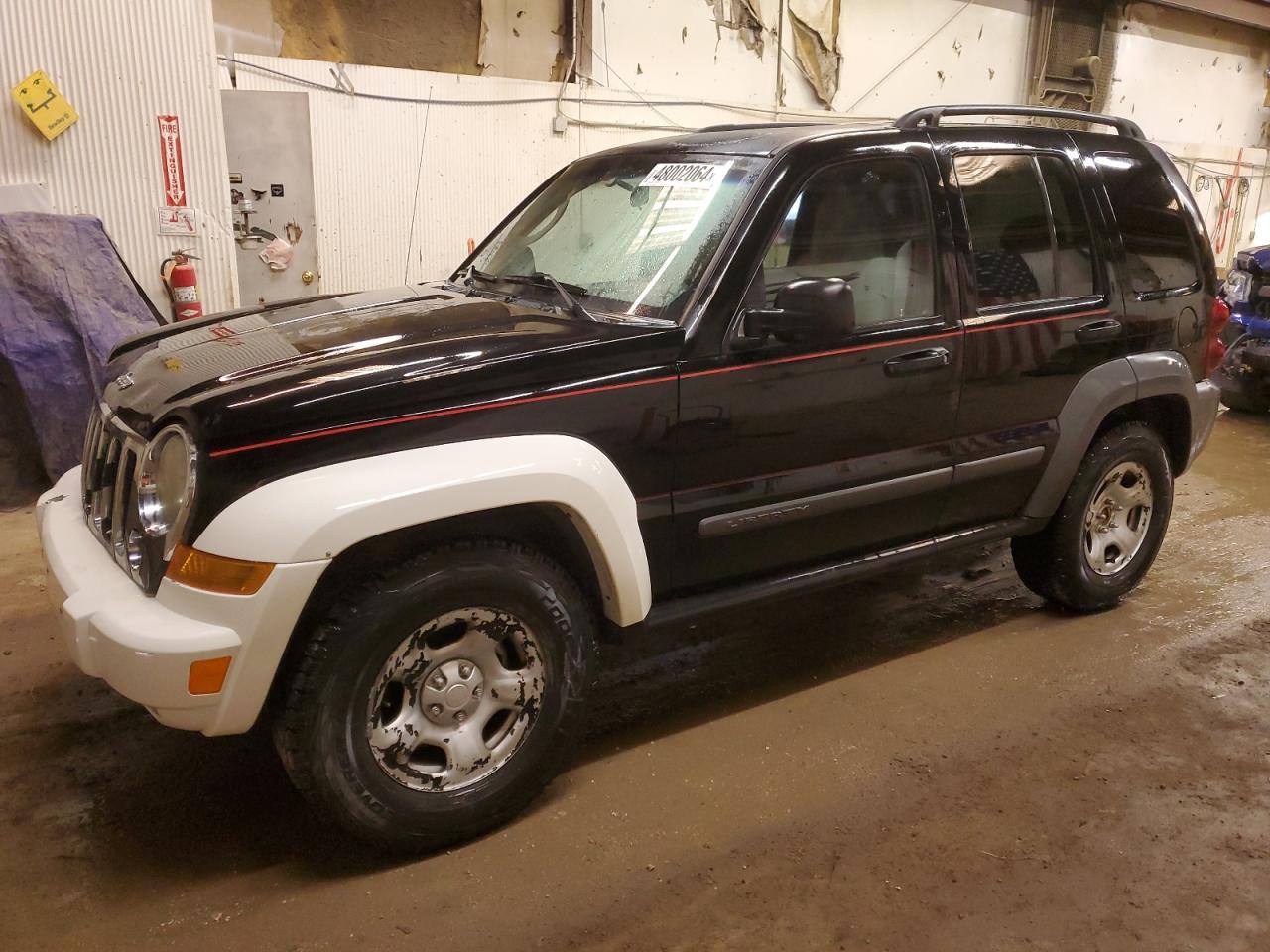 JEEP LIBERTY (NORTH AMERICA) 2005 1j4gl48k05w623054