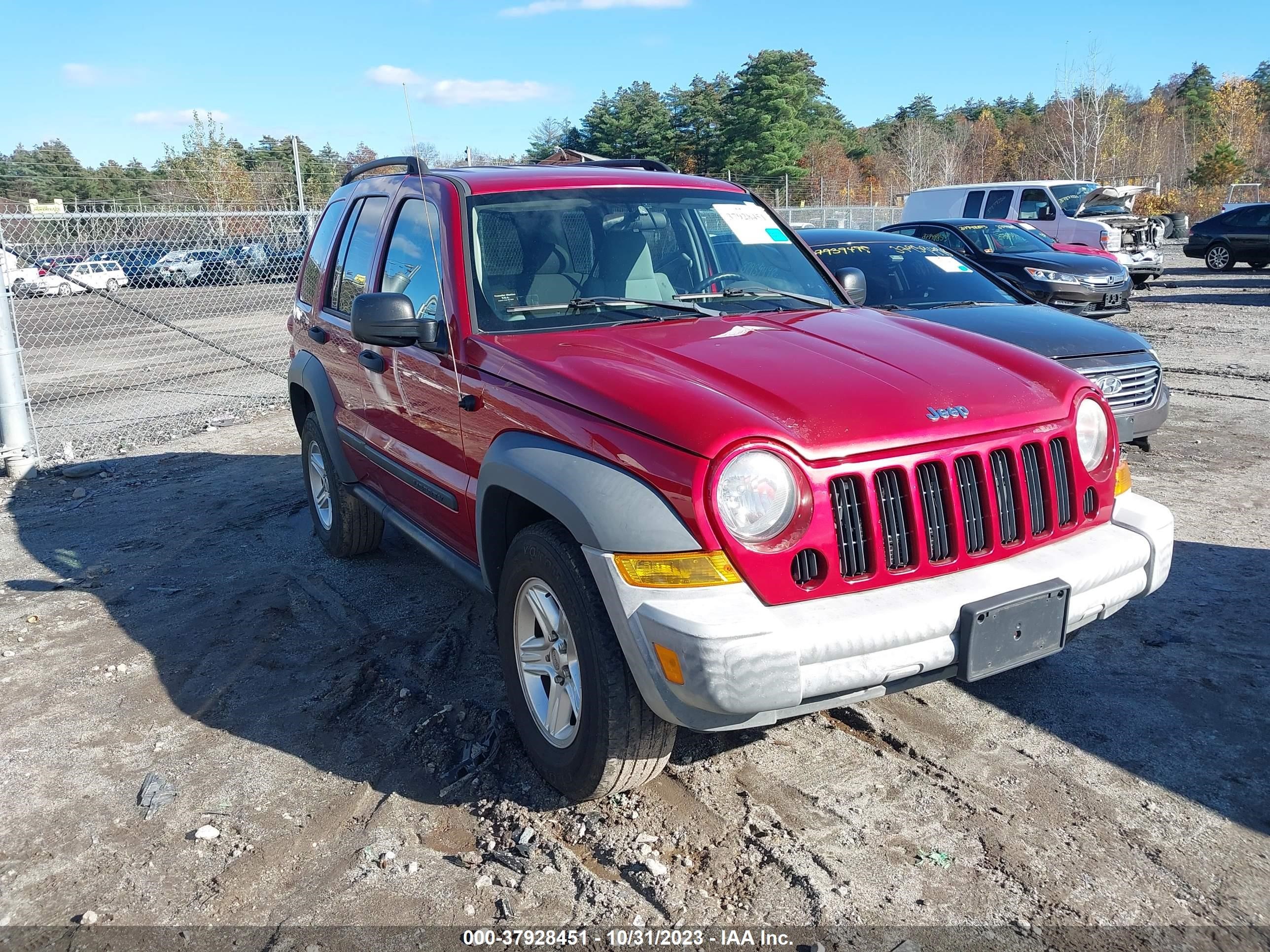 JEEP LIBERTY (NORTH AMERICA) 2006 1j4gl48k06w154579