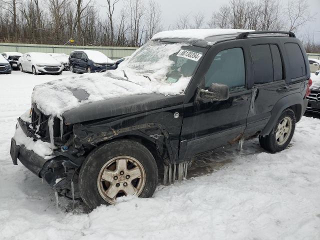 JEEP LIBERTY SP 2006 1j4gl48k06w287228