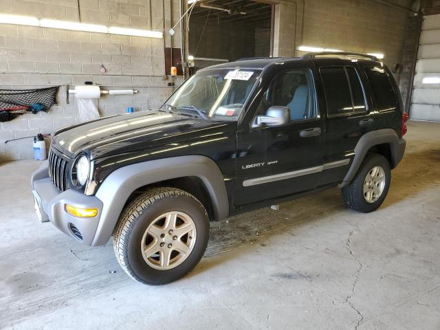 JEEP LIBERTY 2002 1j4gl48k12w277043