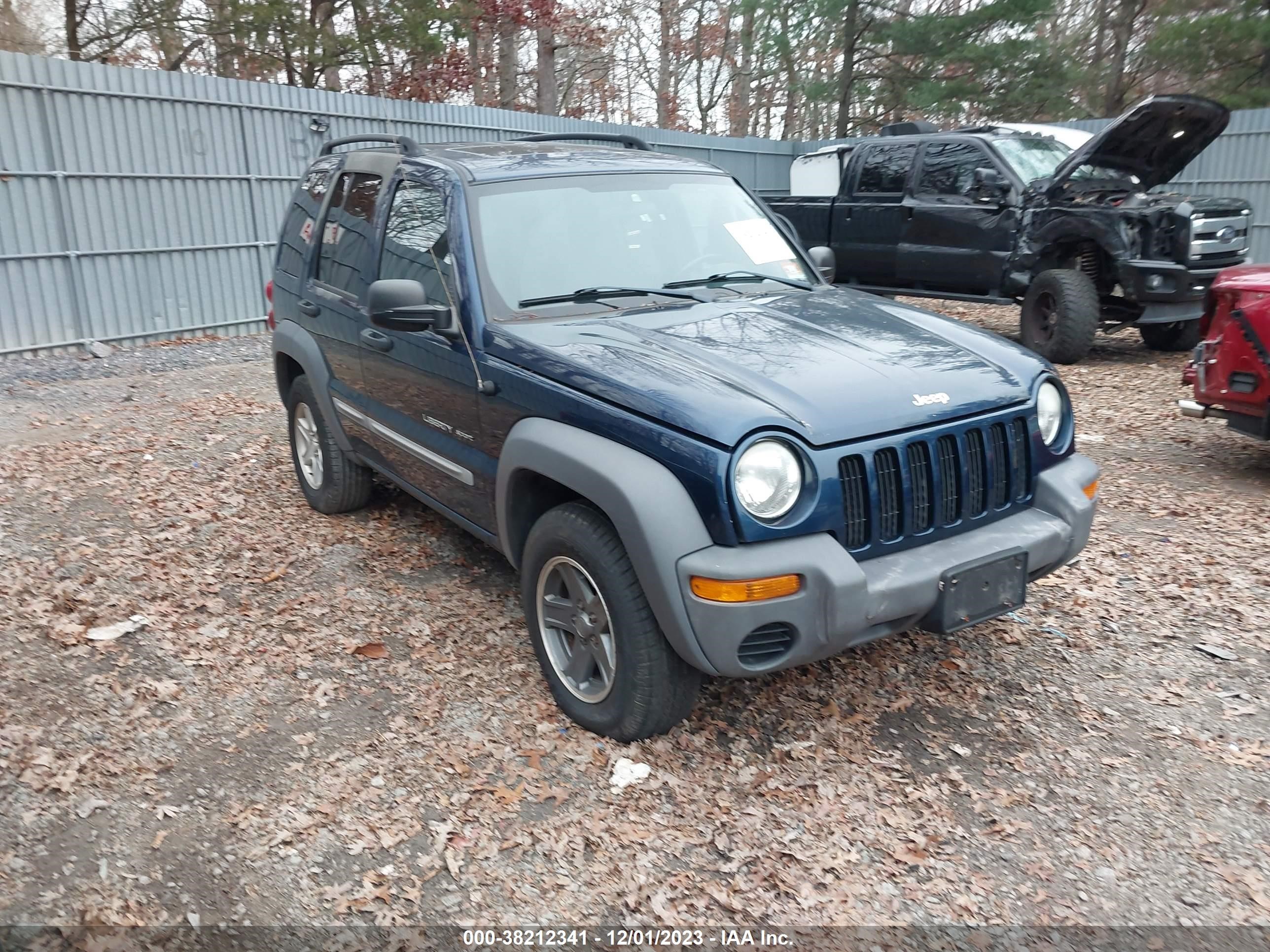 JEEP LIBERTY (NORTH AMERICA) 2003 1j4gl48k13w508461