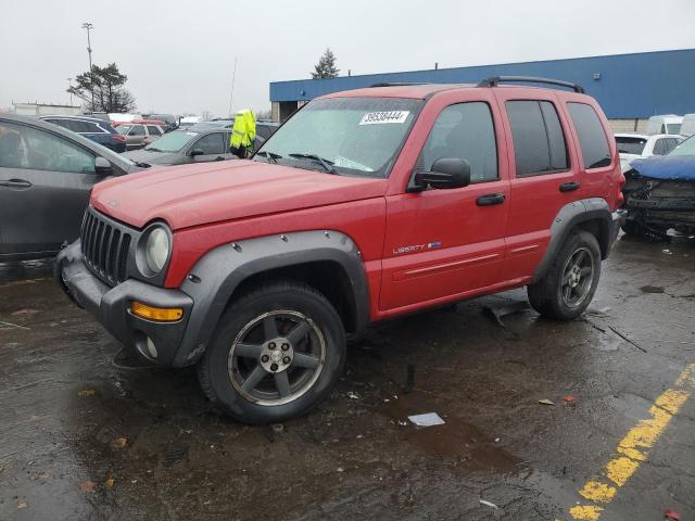 JEEP LIBERTY 2003 1j4gl48k13w685205