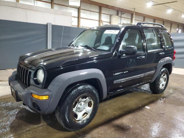 JEEP LIBERTY 2003 1j4gl48k13w699203