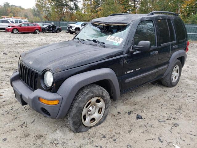 JEEP LIBERTY SP 2003 1j4gl48k13w713942