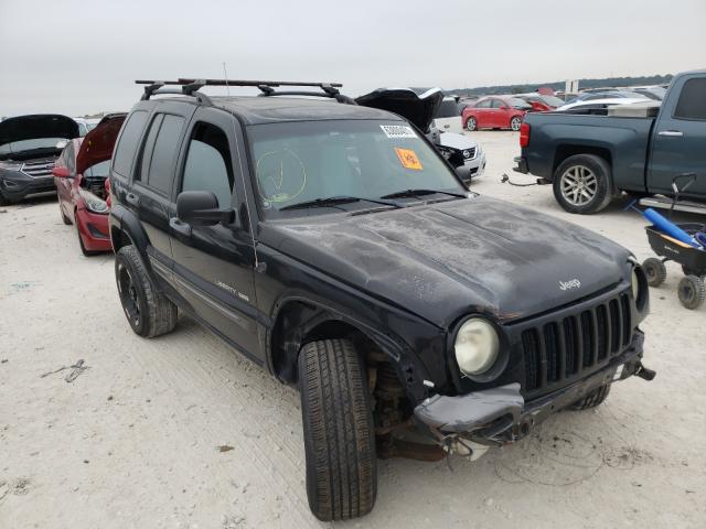 JEEP LIBERTY SP 2004 1j4gl48k14w195431