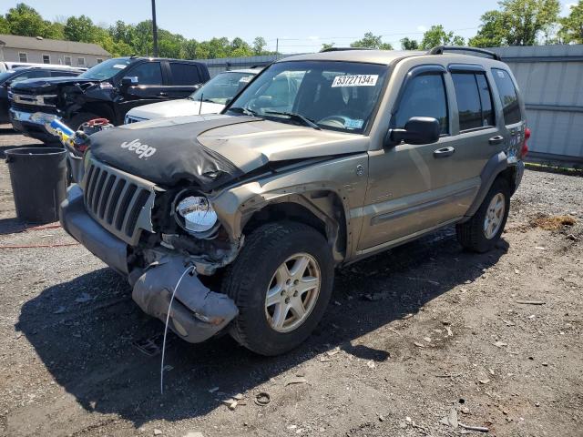 JEEP LIBERTY 2004 1j4gl48k14w225172