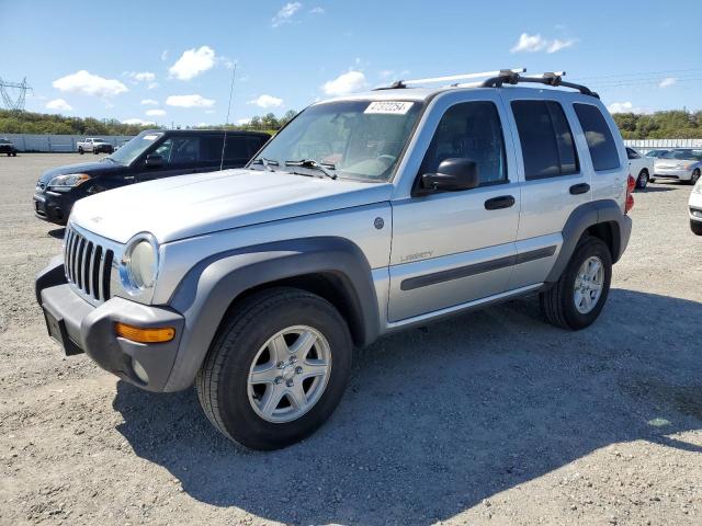 JEEP LIBERTY 2004 1j4gl48k14w252307