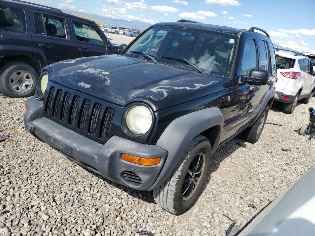 JEEP LIBERTY SP 2004 1j4gl48k14w286943