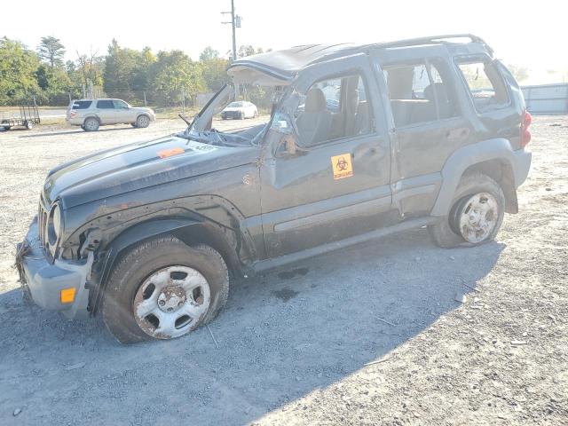 JEEP LIBERTY SP 2005 1j4gl48k15w570560