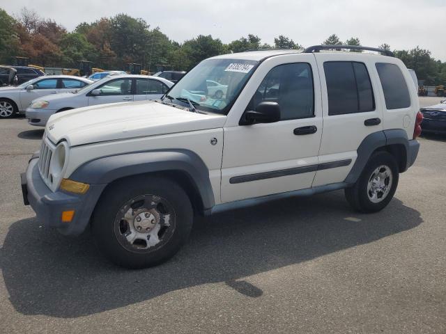 JEEP LIBERTY 2006 1j4gl48k16w163372