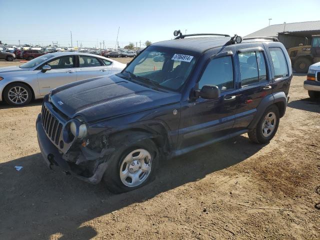 JEEP LIBERTY 2006 1j4gl48k16w261138