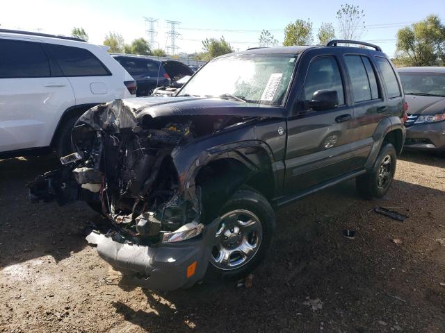 JEEP LIBERTY SP 2006 1j4gl48k16w272978