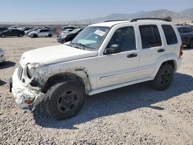 JEEP LIBERTY 2007 1j4gl48k17w612809