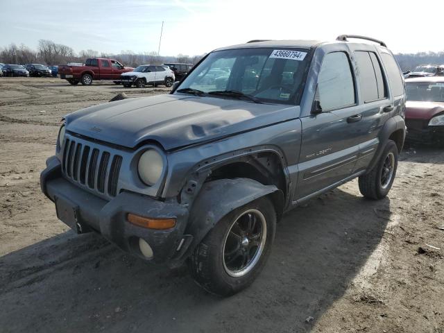 JEEP LIBERTY 2002 1j4gl48k22w270571