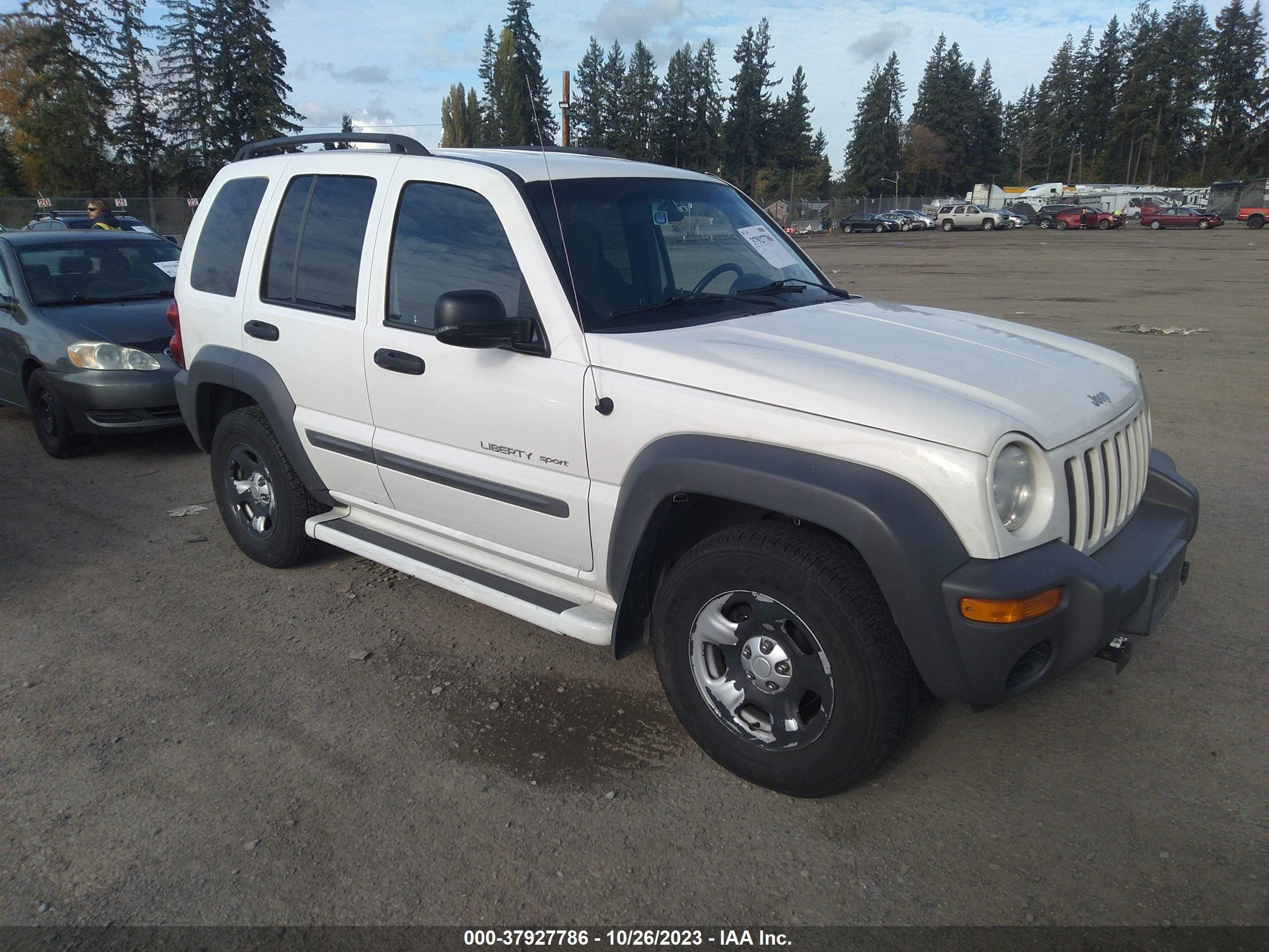 JEEP LIBERTY (NORTH AMERICA) 2002 1j4gl48k22w283109