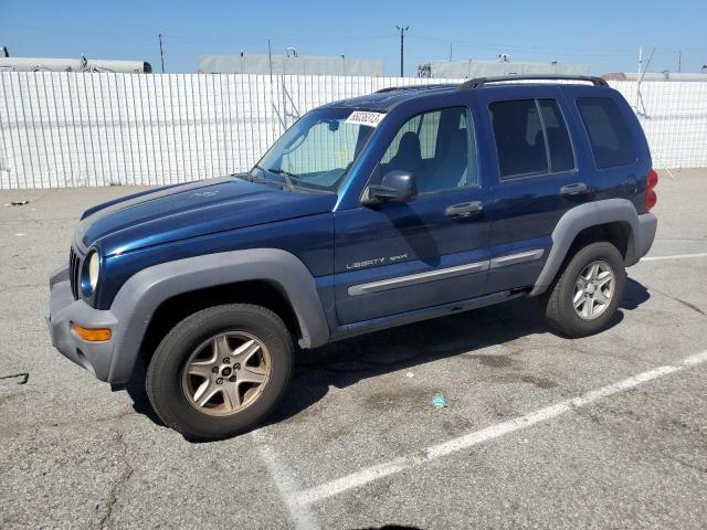 JEEP LIBERTY 2002 1j4gl48k22w300426