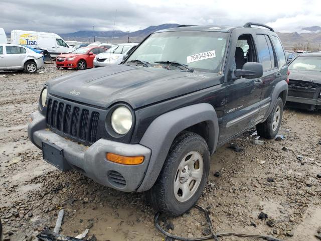 JEEP LIBERTY 2003 1j4gl48k23w520165