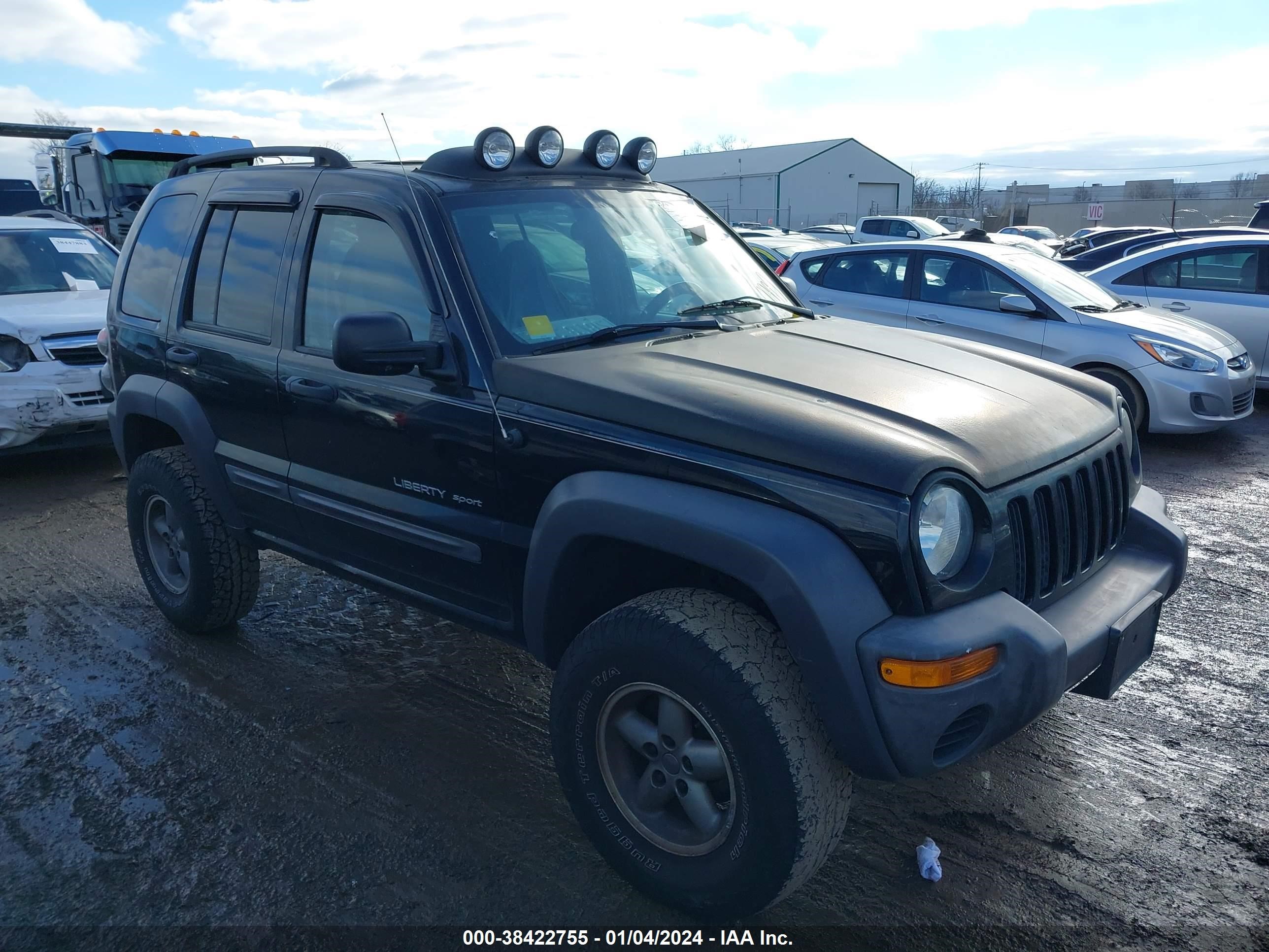 JEEP LIBERTY (NORTH AMERICA) 2003 1j4gl48k23w552789