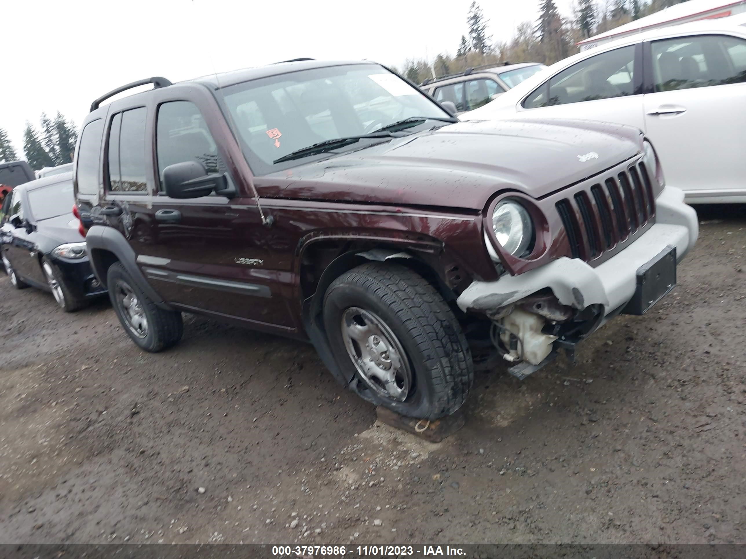 JEEP LIBERTY (NORTH AMERICA) 2004 1j4gl48k24w135769