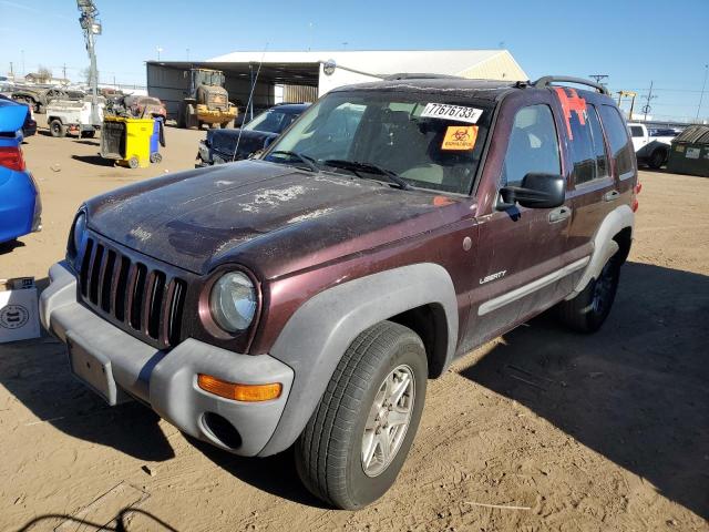 JEEP LIBERTY 2004 1j4gl48k24w139711