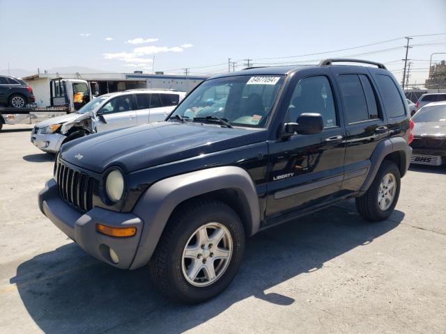 JEEP LIBERTY 2004 1j4gl48k24w158551