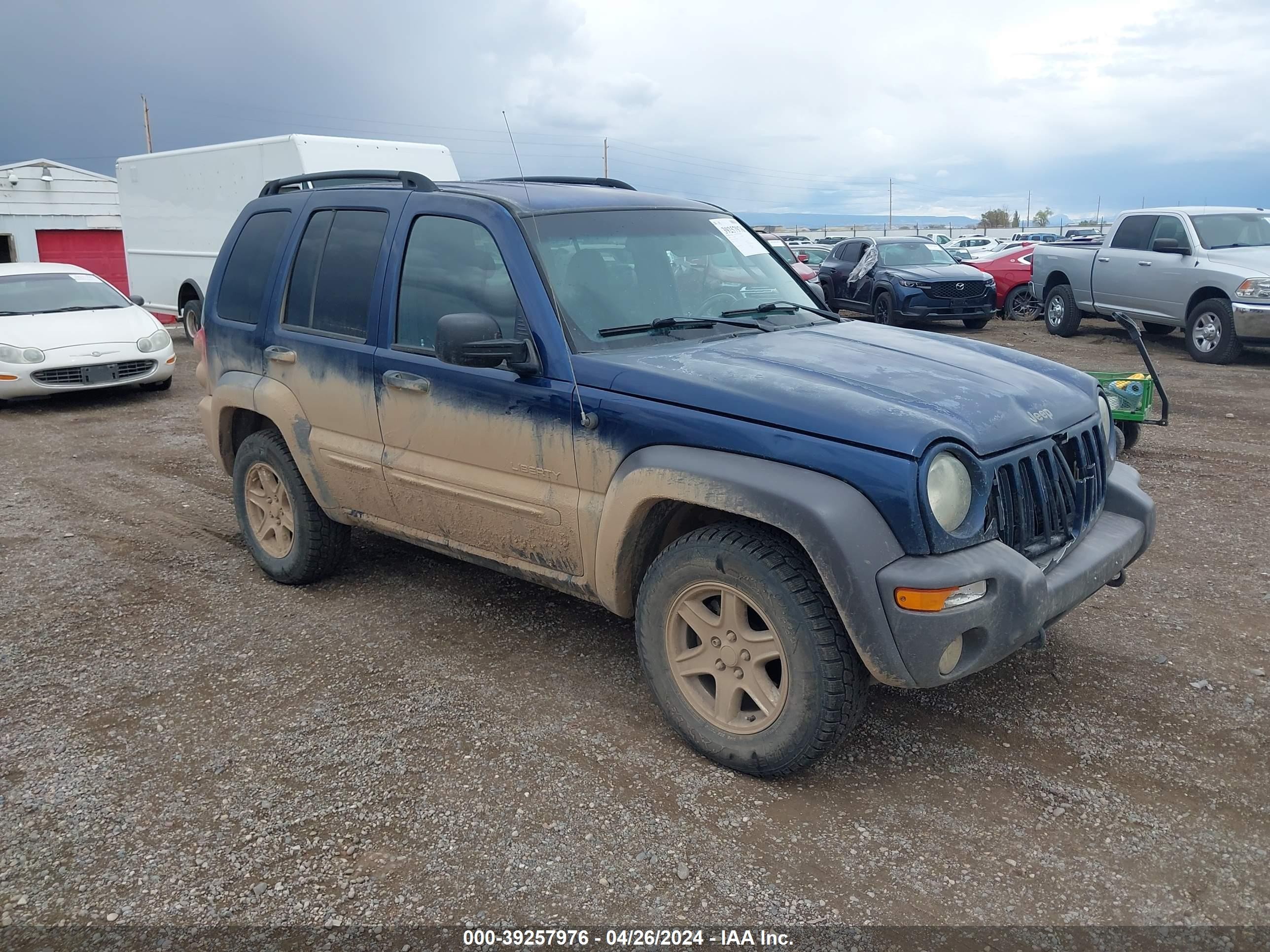 JEEP LIBERTY (NORTH AMERICA) 2004 1j4gl48k24w230087