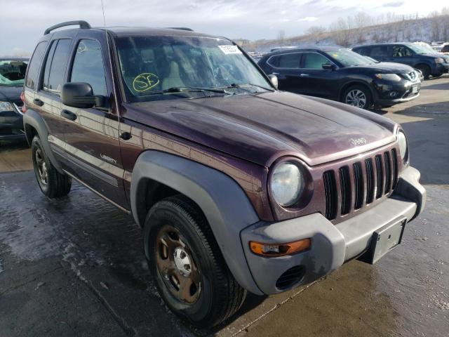 JEEP LIBERTY SP 2004 1j4gl48k24w281816