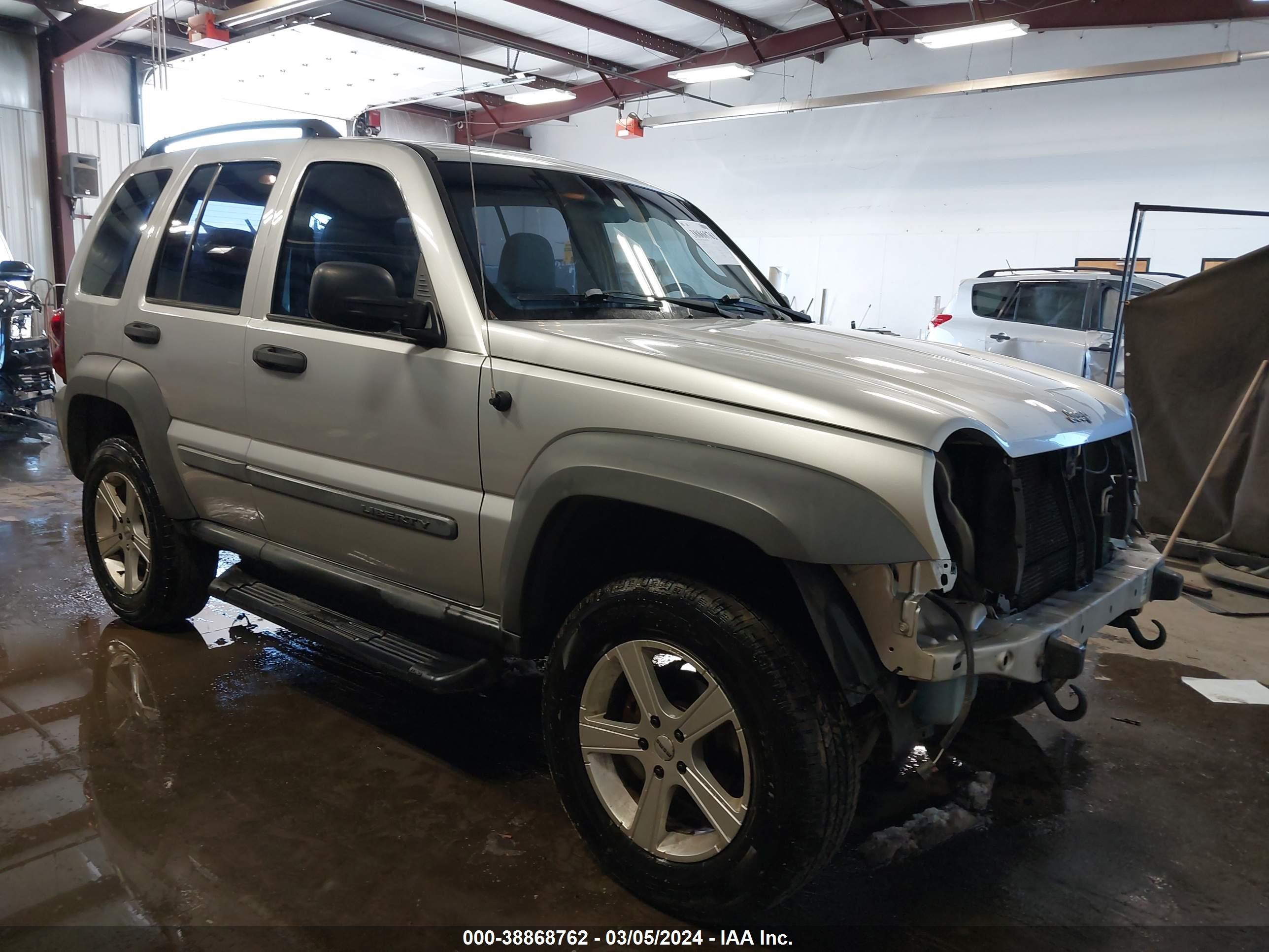 JEEP LIBERTY (NORTH AMERICA) 2005 1j4gl48k25w665919