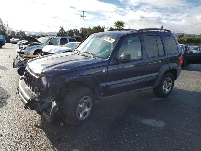 JEEP LIBERTY 2006 1j4gl48k26w200719