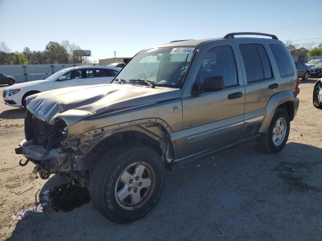 JEEP LIBERTY 2006 1j4gl48k26w257387