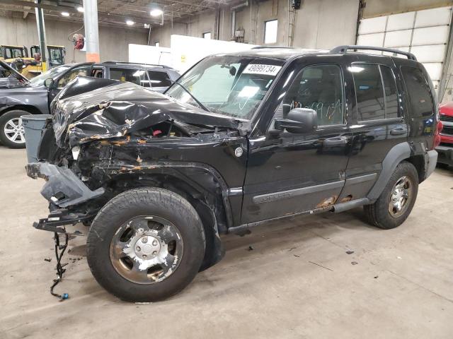 JEEP LIBERTY 2007 1j4gl48k27w500987