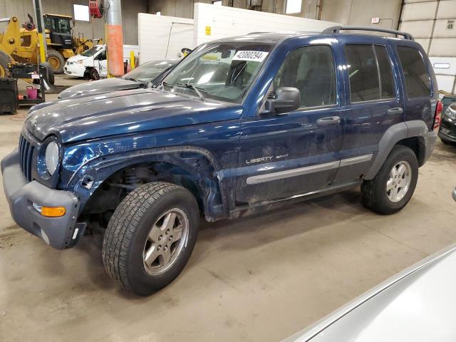 JEEP LIBERTY 2002 1j4gl48k32w248546