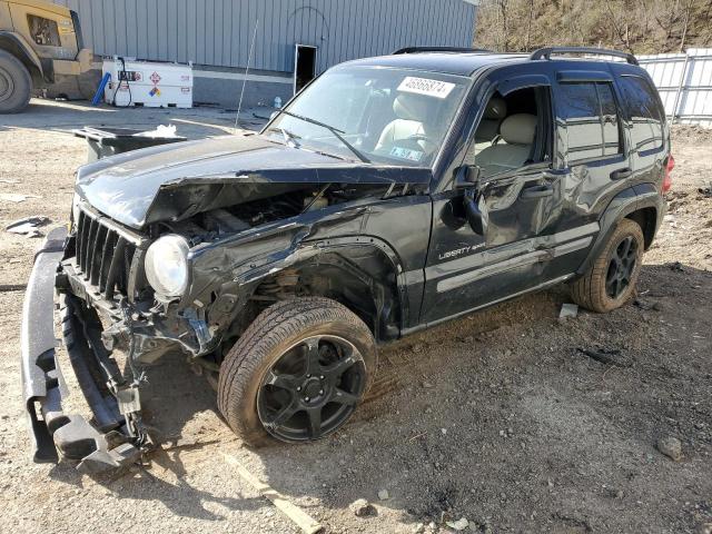 JEEP LIBERTY 2003 1j4gl48k33w586479