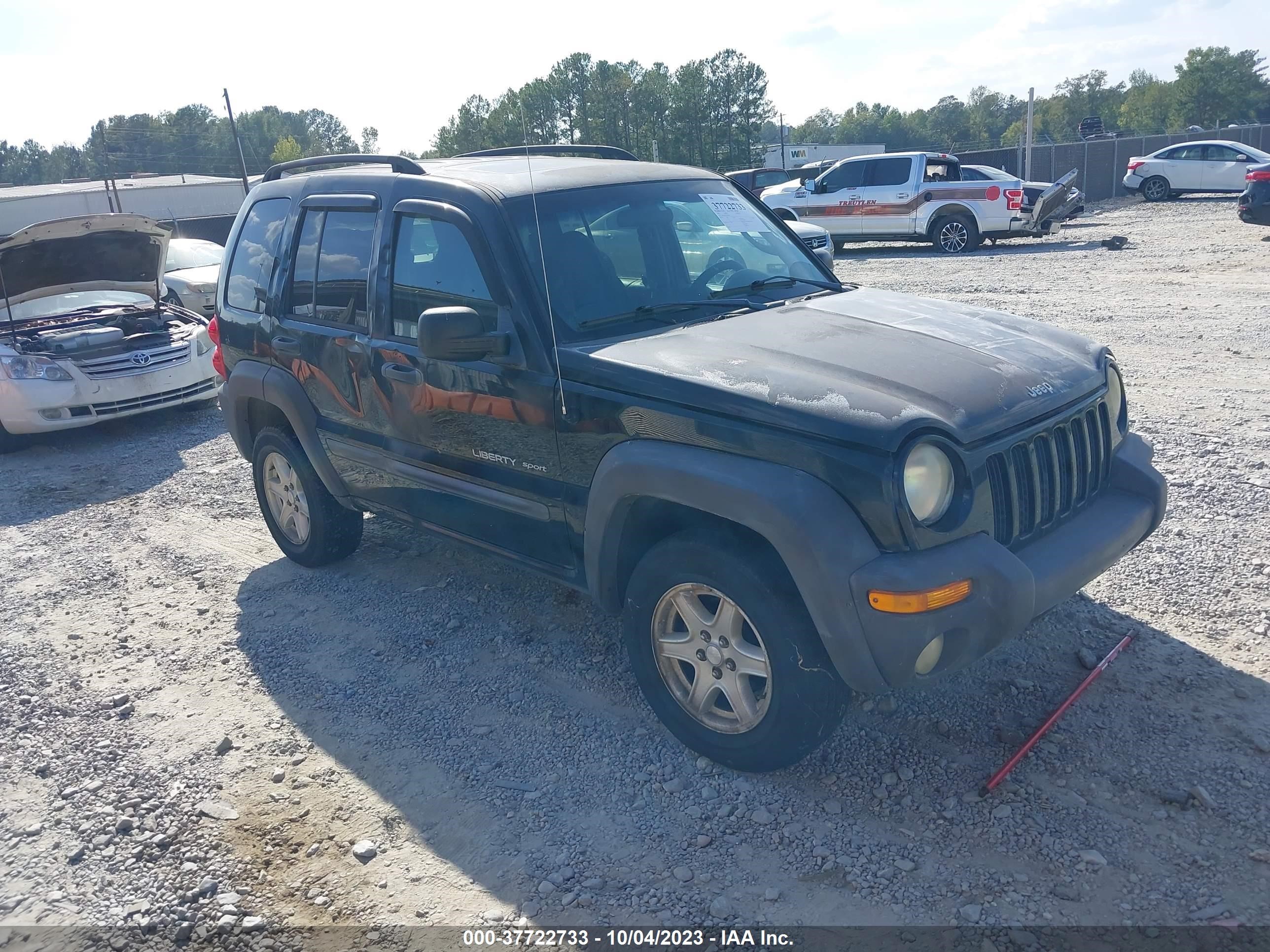 JEEP LIBERTY (NORTH AMERICA) 2003 1j4gl48k33w659849