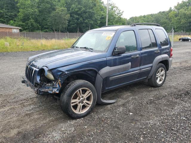 JEEP LIBERTY 2003 1j4gl48k33w660404