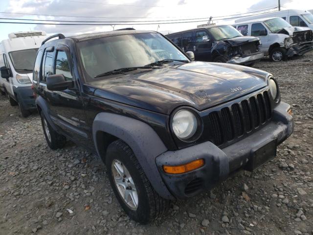 JEEP LIBERTY SP 2003 1j4gl48k33w718947