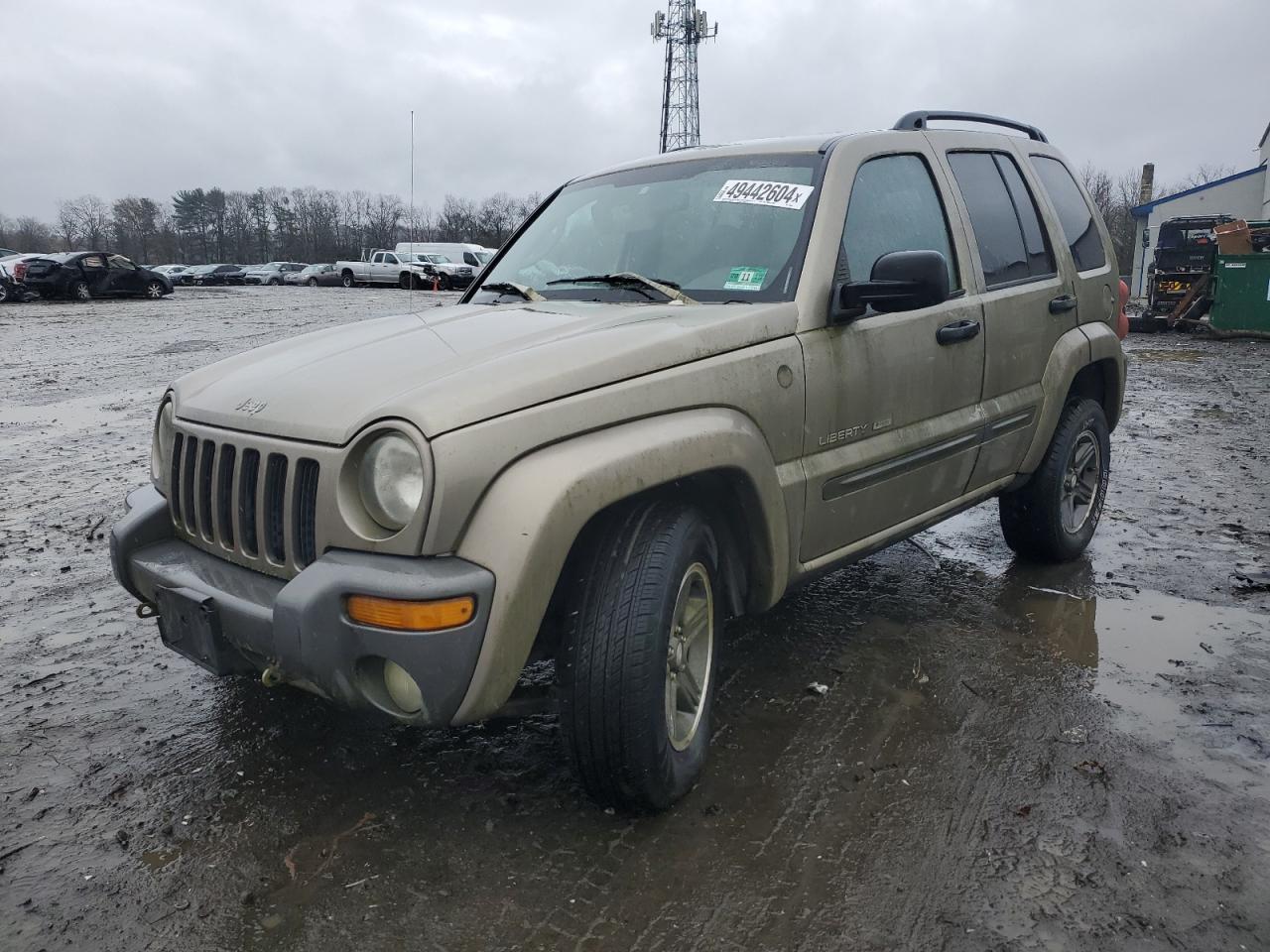 JEEP LIBERTY (NORTH AMERICA) 2004 1j4gl48k34w165444