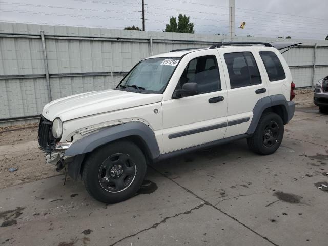 JEEP LIBERTY 2005 1j4gl48k35w624523