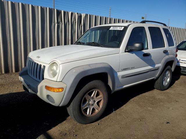 JEEP LIBERTY 2002 1j4gl48k42w103547