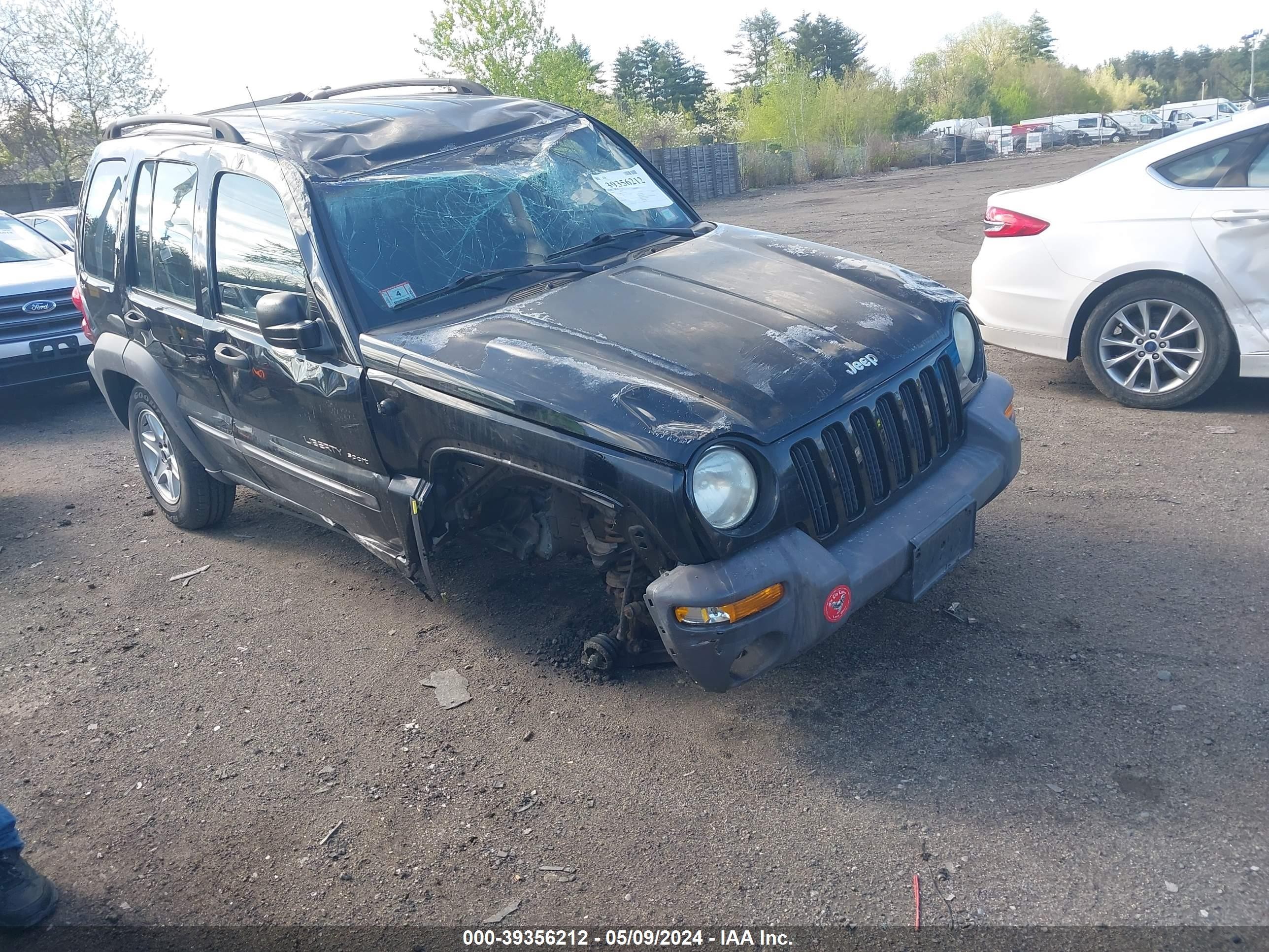 JEEP LIBERTY (NORTH AMERICA) 2002 1j4gl48k42w116279