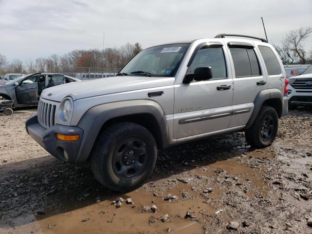 JEEP LIBERTY 2002 1j4gl48k42w222165