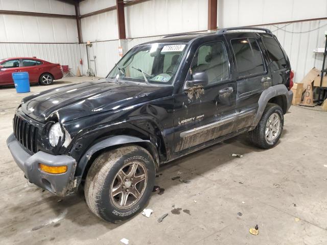 JEEP LIBERTY 2002 1j4gl48k42w224370