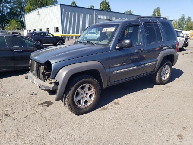 JEEP LIBERTY 2002 1j4gl48k42w248054