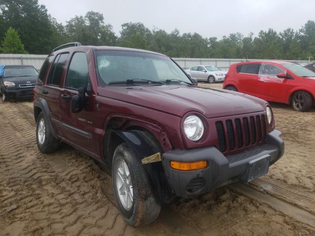 JEEP LIBERTY SP 2002 1j4gl48k42w257210