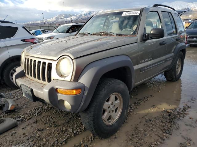 JEEP LIBERTY (NORTH AMERICA) 2003 1j4gl48k43w635561